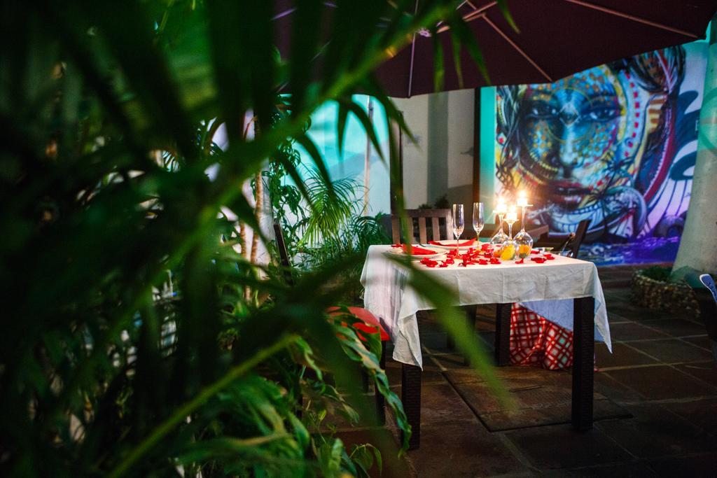 Auberge de jeunesse Aroha Villana *